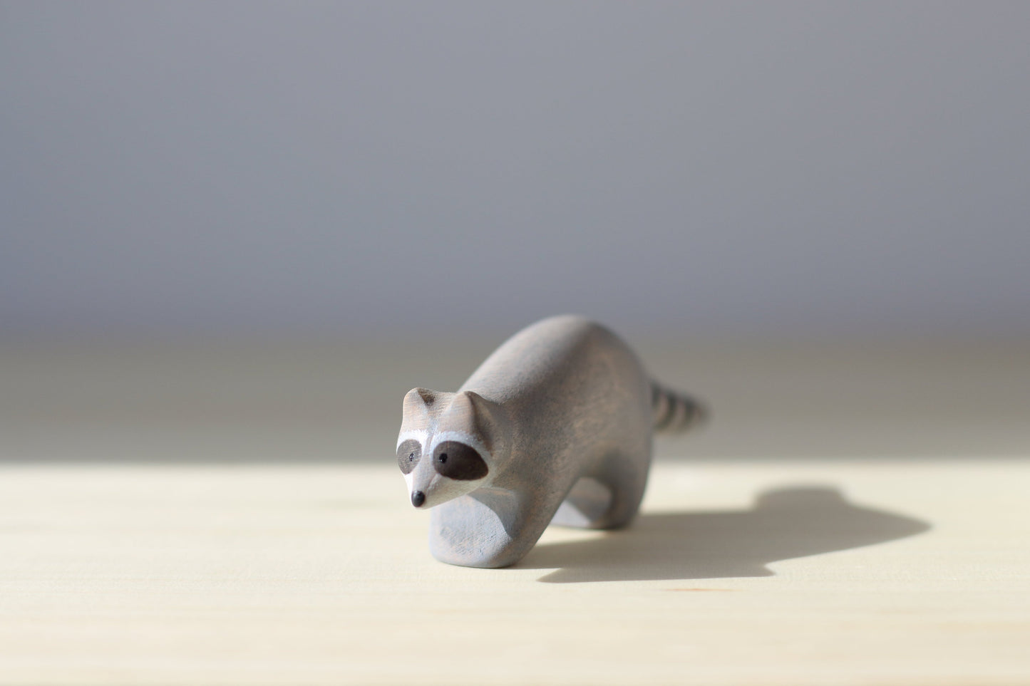 Raccoon