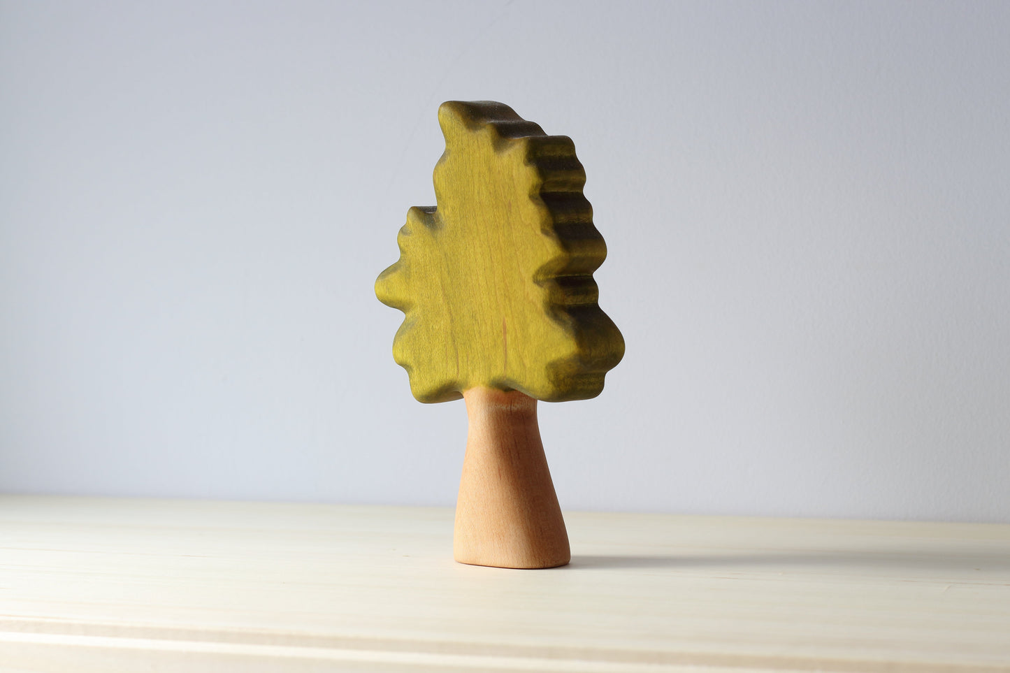 Small Northern Oak Tree
