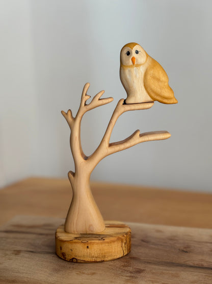 Barn Owl