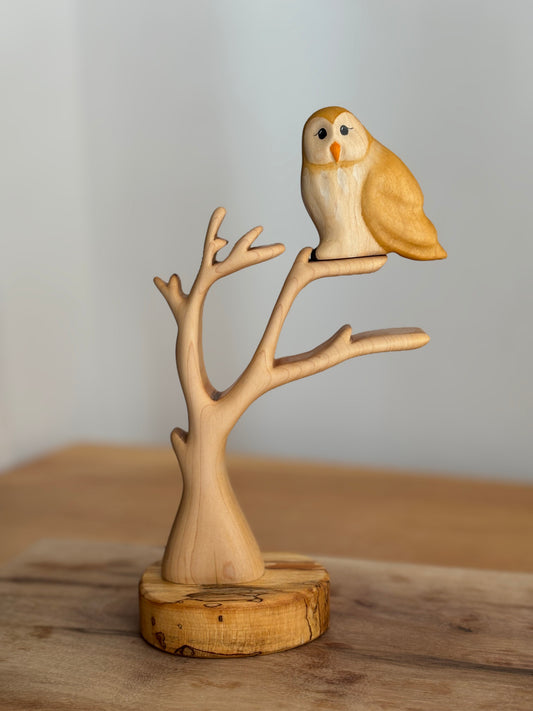 Barn Owl