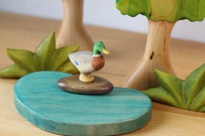Male Mallard Duck Standing